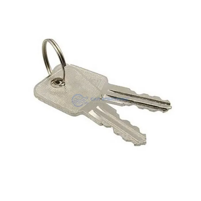 Ключ-выключатель SK25-03A key, 3 положения, с подсветкой и ключом, номинальное напряжение 220 В, ток 20 А фото Ключ-выключатель SK25-03A key, 3 положения, с подсветкой и ключом, номинальное напряжение 220 В, ток 20 А
