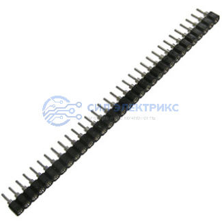 фото SCSL-32