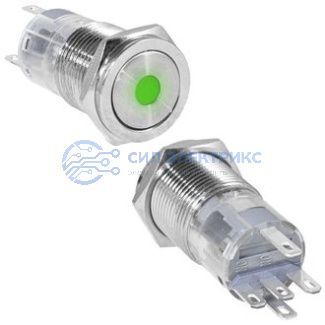 Кнопка антивандальная LAS2GQPF-11D/G/N on-(on) фото Кнопка антивандальная LAS2GQPF-11D/G/N on-(on)