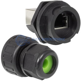 RJ45BL-C-03 фото RJ45BL-C-03