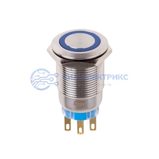 фото Кнопка антивандальная Ø19 12В Фикс (5с) ON-OFF/OFF-ON подсв/синяя REXANT (в упак. 1шт.)
