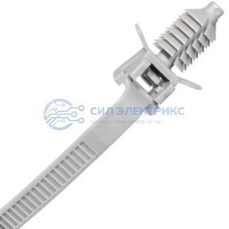 15475295 фото 15475295