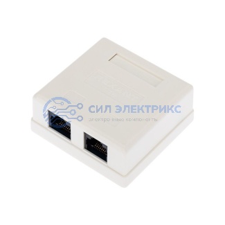 Розетка компьютерная внешняя, 2-порта RJ-45 (8P8C), UTP CAT 6 REXANT фото Розетка компьютерная внешняя, 2-порта RJ-45 (8P8C), UTP CAT 6 REXANT