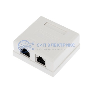 Розетка компьютерная внешняя, 2-порта FTP RJ-45 (8P8C), CAT 6 REXANT фото Розетка компьютерная внешняя, 2-порта FTP RJ-45 (8P8C), CAT 6 REXANT