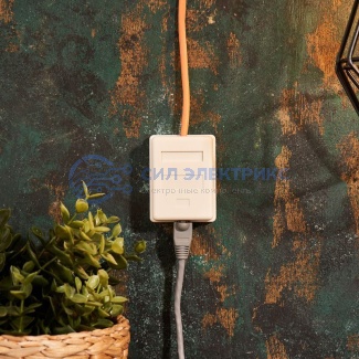 Розетка компьютерная внешняя, 1-порт UTP RJ-45 (8P8C), CAT 5e, пакет, 1 шт. PROconnect фото Розетка компьютерная внешняя, 1-порт UTP RJ-45 (8P8C), CAT 5e, пакет, 1 шт. PROconnect