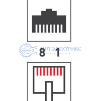 фото Двойник компьютерный UTP RJ-45(8P8C) (гнездо - 2 гнезда) REXANT