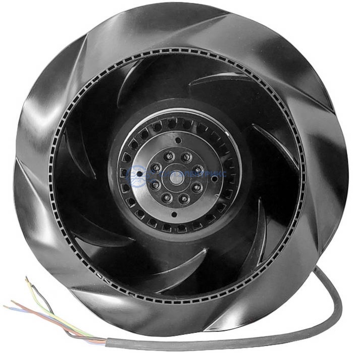 RQF 250FLW2 фото RQF 250FLW2