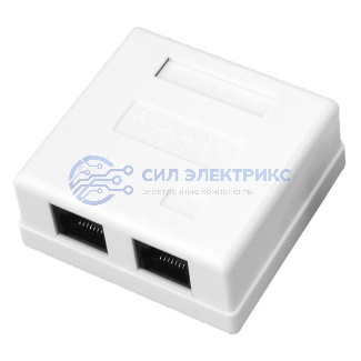 Розетка компьютерная внешняя 2-порта, UTP RJ-45 (8P8C), CAT 5e REXANT фото Розетка компьютерная внешняя 2-порта, UTP RJ-45 (8P8C), CAT 5e REXANT