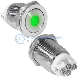 фото Кнопка антивандальная GQ19PF-10ZD/G/N off-on