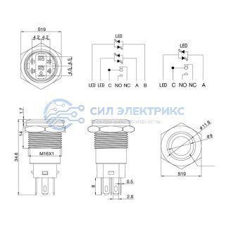 фото Кнопка антивандальная Ø16 12В(LED) Б/Фикс (5с) OFF-(ON)/ON-(OFF) плоская подсв/синяя POWER (A-16-F5) REXANT