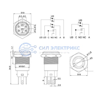 фото Кнопка антивандальная Ø16 12В Фикс (5с) ON-OFF/OFF-ON синяя REXANT